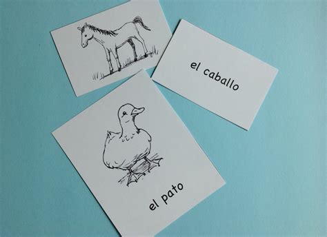 Spanish Animals Picture Cards And 25 Activities Spanish Playground