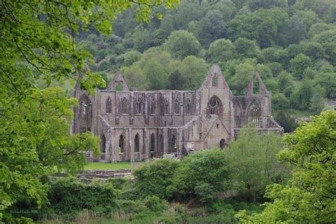 Tintern Abbey Wye Valley Monmouthshire Wales Cottage In The Woods