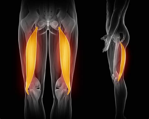 The Top Ways To Strengthen Your Hamstrings And Eliminate Your Knee