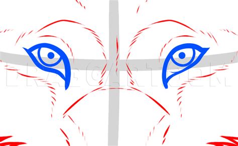 How To Draw Wolf Eyes Step By Step Drawing Guide By Dawn Dragoart