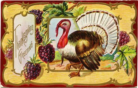 Antique Thanksgiving Postcard Turkey Clip Art Victorian Thanksgiving