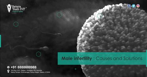 Male Infertility Causes And Solutions Yash IVF