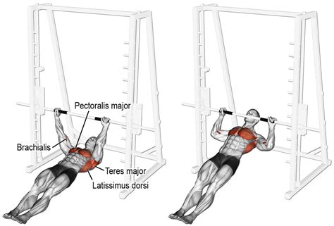 Horizontal Row Guide How To Muscles Worked Variations And