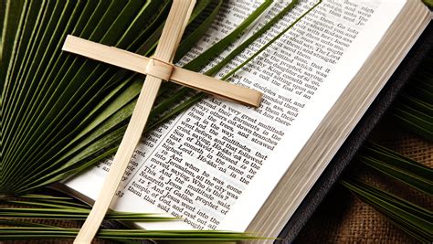 Palm Sunday 5 Ways To Help Your Kids Understand What Really Happened