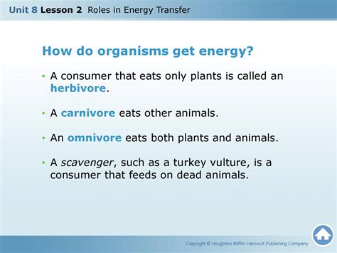 Get Energized How Do Organisms Get Energy Ppt Download