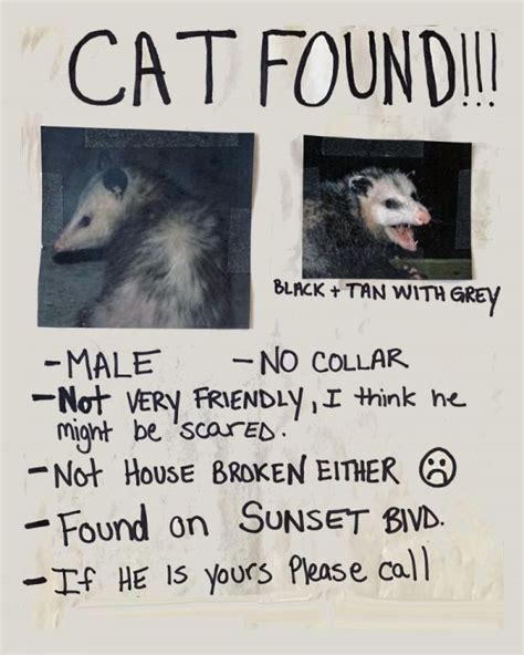 The Story Behind That Famous Opossum Poster