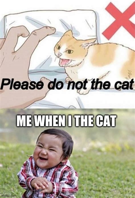 Image Tagged In Please Do Not The Catmemesevil Toddler Imgflip