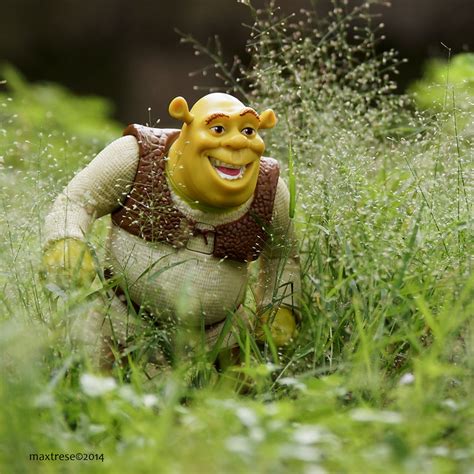 Shrek Ker Maxtrese