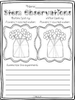 Hand out the color changing flowers worksheets. Stem Observations (Carnation Experiment) | Experiments ...