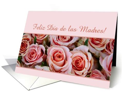 We did not find results for: spanish Happy Mother's Day - pale pink roses mother's day card