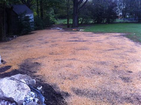 Cover it with straw or something else to keep the moisture in, and the birds out. Planting grass seed in the fall, cover with hay ...