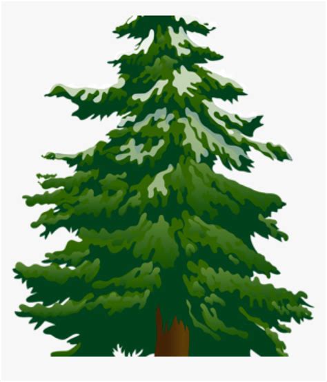 Pine Tree Clip Art Tree Clip Art Snowy Pine Tree Clipart Transparent