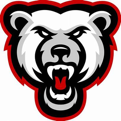 Bear Polar Sports Sportslogos Edit Bears Logos
