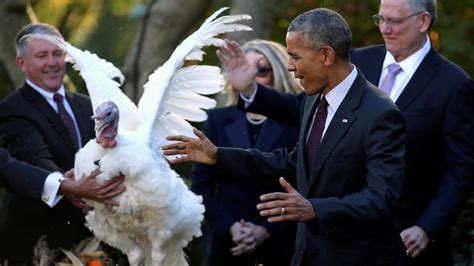 barack obama s final presidential turkey pardoning newshub