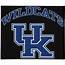 Kentucky Wildcats 12 X Arched Logo Decal  Wild Cats