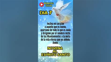 Short Novena Al Espíritu Santo Dia 7 Don Del Consejo 🕊 Youtube
