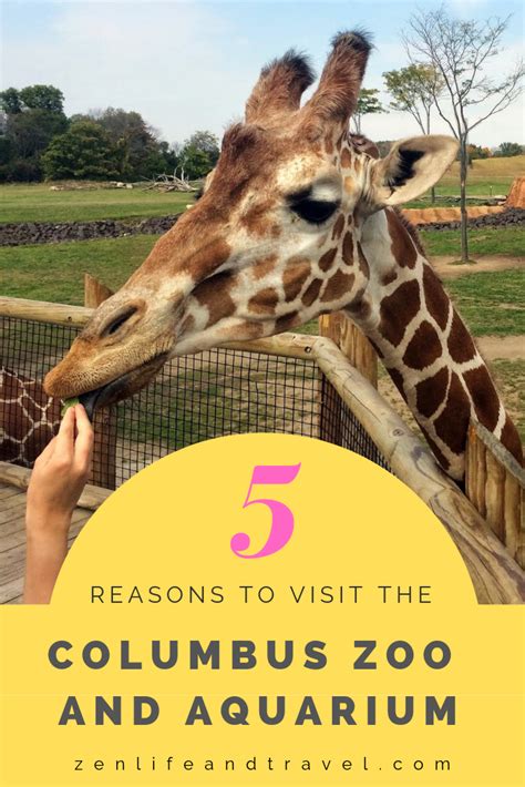 5 Reasons To Visit The Columbus Zoo 2 1 Zen Life And Travel