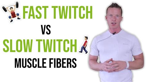 Fast Twitch Vs Slow Twitch Muscle Fiber Training Strength Vs Endurance