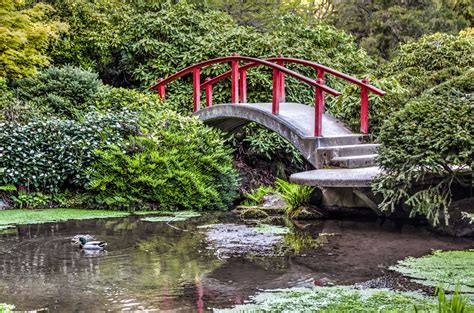 Kubota Garden An Amazing Japanese Garden In Seattle Gate To Adventures