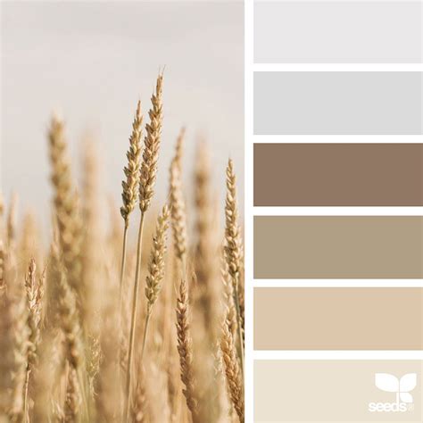 Design Seeds Color Palettes Inspired By Nature Nature Color Palette