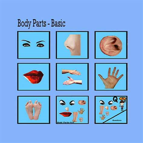 Learn about human body vocabulary in english. External Human Body Parts | MedicineBTG.com