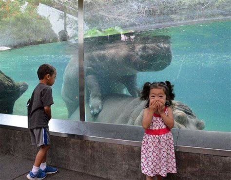 A Collection Of Sweet Silly And Funny Moments At The Zoo 21 Pics 4