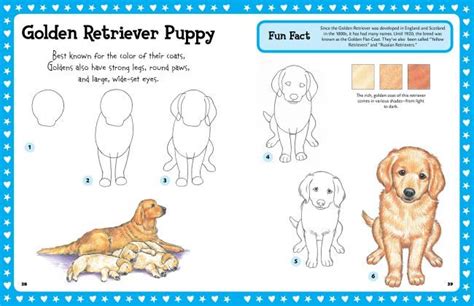Https://techalive.net/draw/how To Draw A Golden Retriever Easy