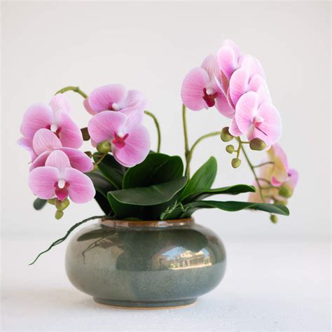 Maybe you would like to learn more about one of these? Amazon.com: THYME TO BLOOM Artificial Decorative Orchid ...