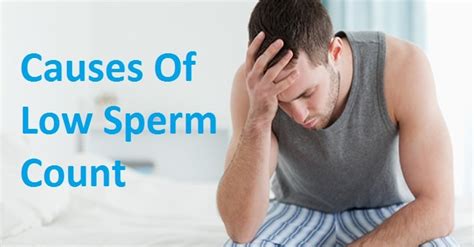Causes Of Low Sperm Counts Telegraph
