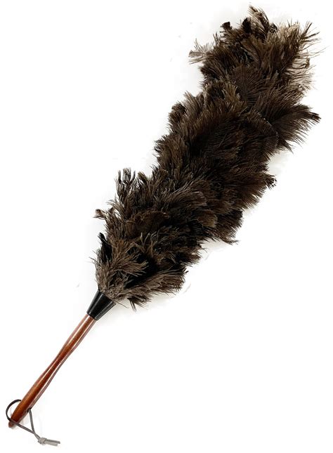 Aayu Ostrich Feather Duster Long Duster 24 26 Inch With Etsy