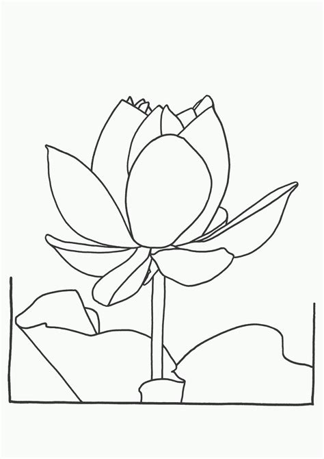 Https://tommynaija.com/coloring Page/lotus Flower Coloring Pages