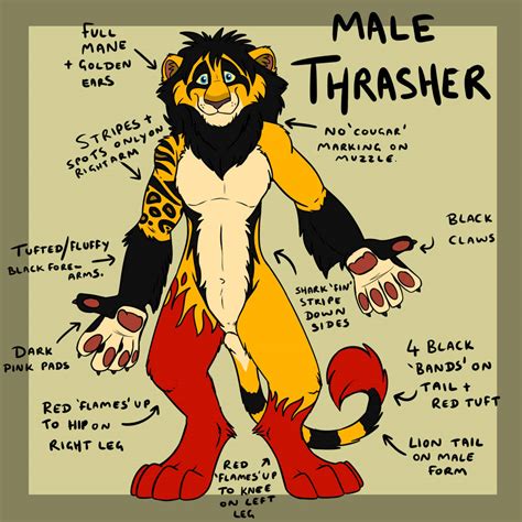 Male Thrasher Reference By Maliciouslion On Deviantart