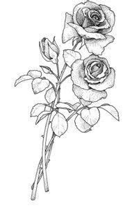 With this how to draw a rose step by step tutorial makes drawing this beautiful flower super easy, which makes it perfect for beginners as well as kids. Rose With Stem Drawing at PaintingValley.com | Explore ...
