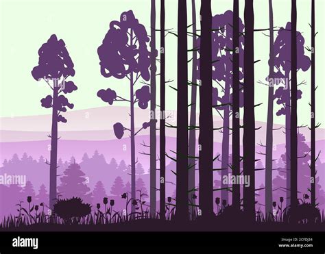 Forest Landscape Minimalistic Illustration Pines Trees Silhouettes