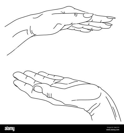 Male And Female Hand Vector Lineart Graphics Hand Drawn Symbolic Image Of Care And Protection