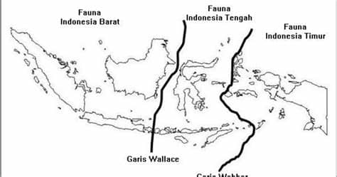 Soal Biologi : Berbagai Tingkat Keanekaragaman hayati di ...
