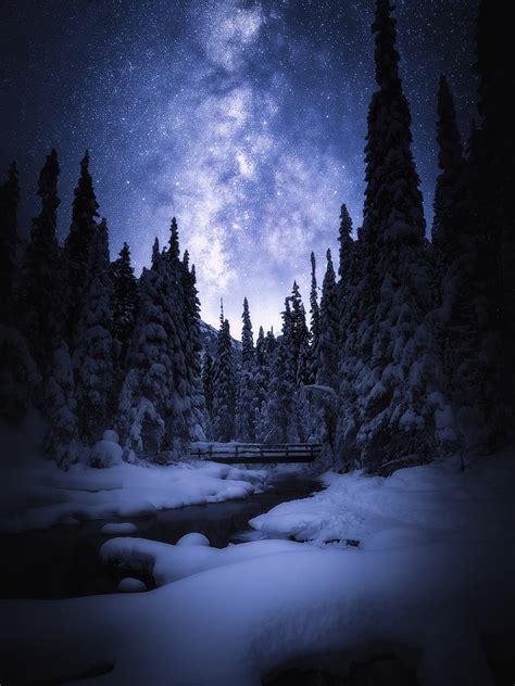 Night Snow Winter Banff National Park Starry Sky Night Sky Pine