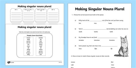 making singular nouns plural worksheet differentiated singular nouns
