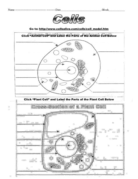 For instance, plants can't walk around and catch food like we do, they give off oxygen instead of carbon dioxide, and they don't have. 12 Best Images of Animal Cell Labeling Worksheet - Label ...