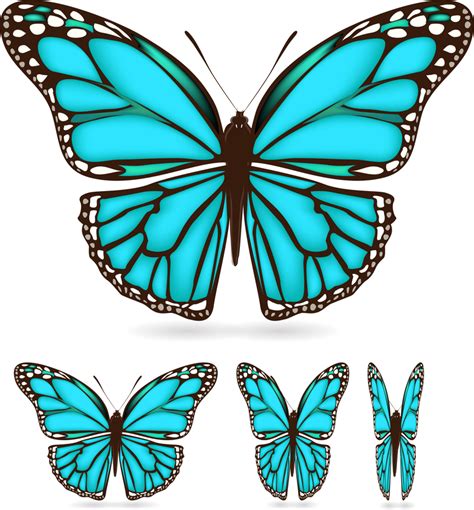 Beautiful Butterfly 03 Vector Vector Download