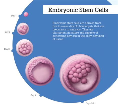 Celltech Stemcell