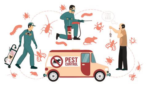 Pest Control Huntsville Al Mr Buggs Pest Control