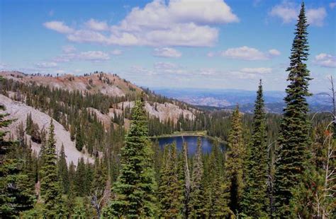 National Forests In Idaho Best Campgrounds Hipcamp
