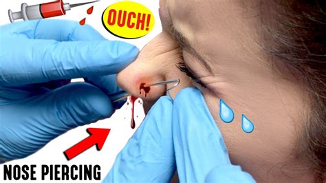 <p>ensure that the piercer wears gloves, sanitizes your ears before the piercing and uses a sterile piercing needle that you watch him unwrap. Getting My Nose Pierced | *WARNING* Bloody, Graphic ...
