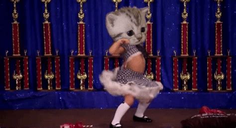 Cat Dancing Stage School Girl Body Mash Up 