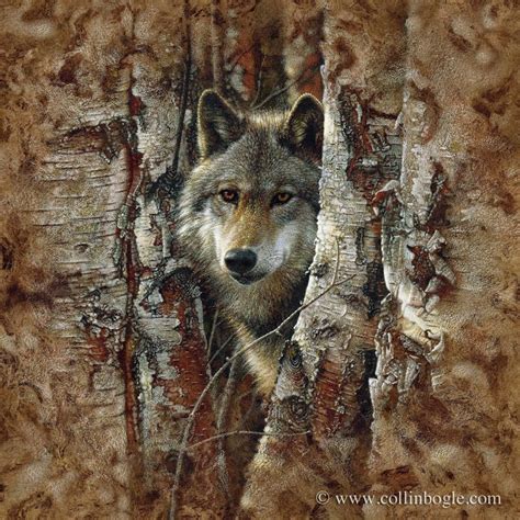 Woodland Spirit Wolf Hand Signed Art Print By Collin Bogle Collin