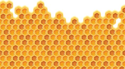 Bee Honeycomb Clipart 💖bee Background Png Download 28882675 Free