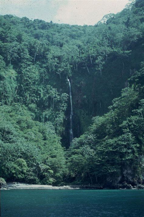 Cocos Island Waterfall Costa Rica Cocos Island Waterfall National