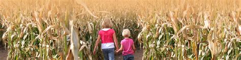 Explore the maze at night by flashlight or moonlight. The World's Largest Corn Maze at Richardson Adventure Farm ...