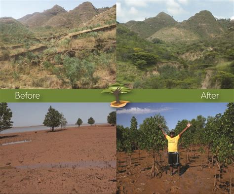Eden Reforestation Projects Clean Earth Future